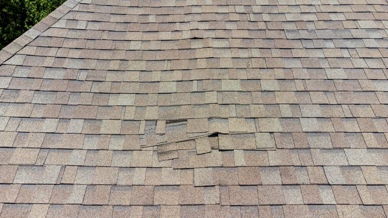 Asphalt Roof Inspection in Douglas County, CO