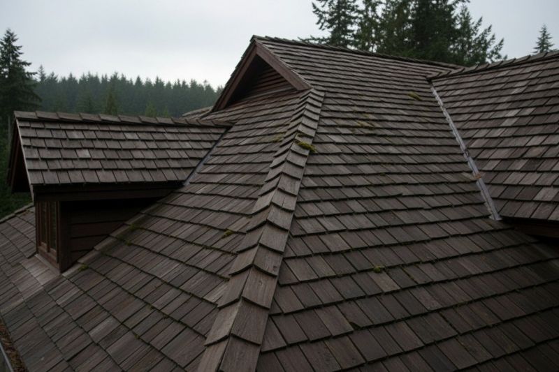 Cedar Shake Roof Replacement in Westminster, CO