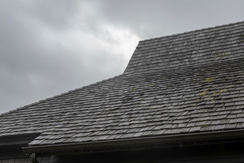 Cedar Shingles Replacement in Brighton, CO