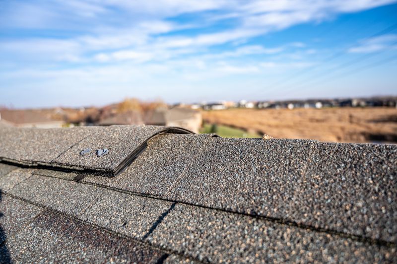 Damaged Roof Repair in Arapahoe County, CO