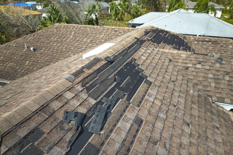 Damaged Roof Replacement in Brighton, CO