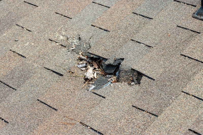 Damaged Roof Replacement in Denver, CO