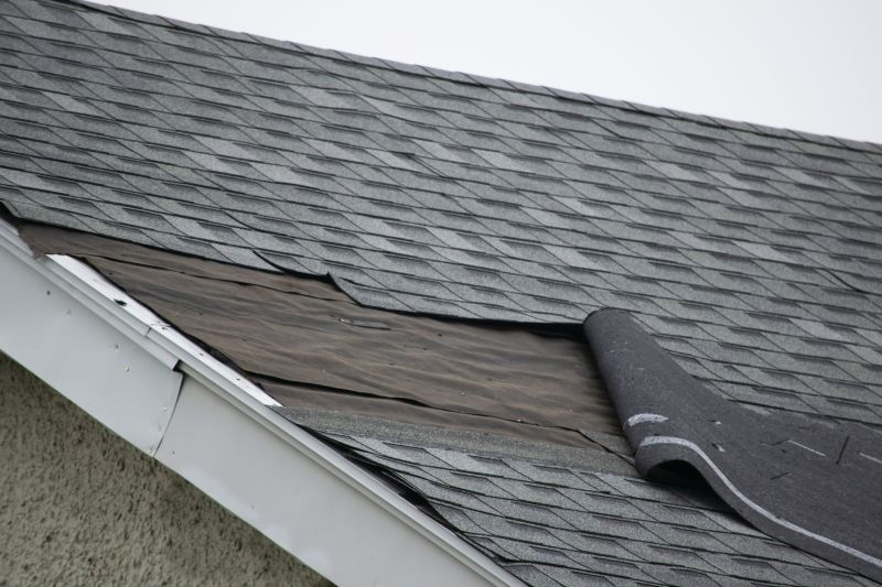 House Roof Repair in Longmont, CO