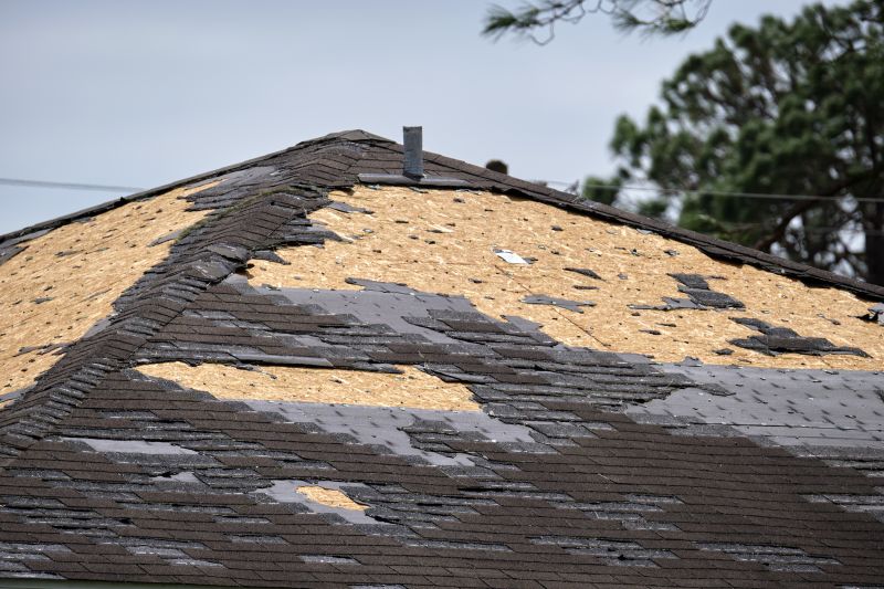 Roof Damage Repair in Wheat Ridge, CO