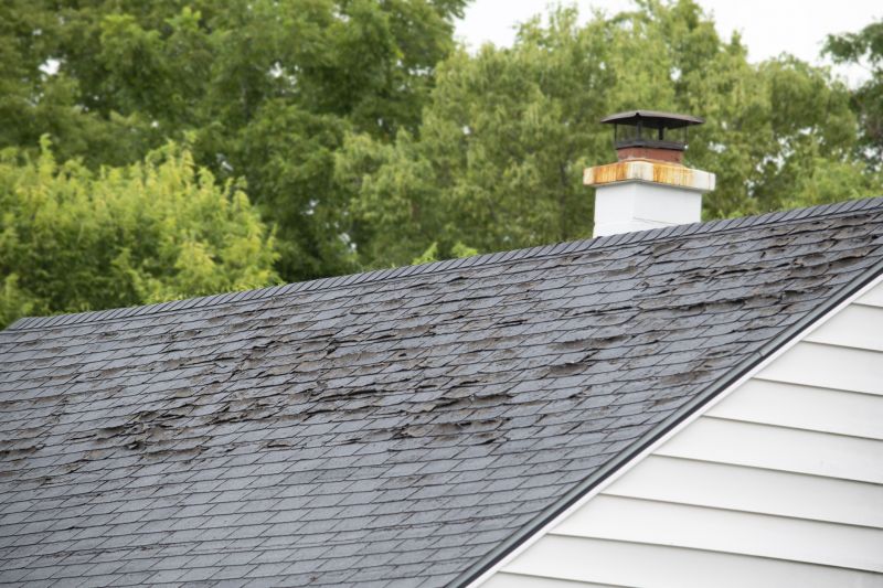 Roof Hail Damage Repair in Westminster, CO