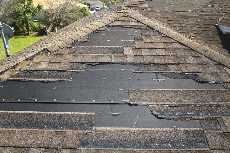 Roof Hail Damage Repair in Westminster, CO