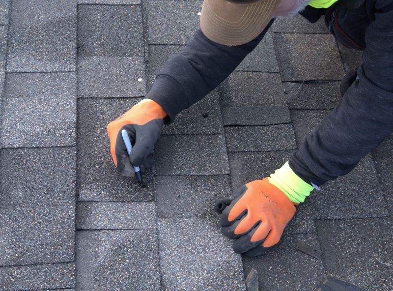 Shingles Repair in Denver, CO